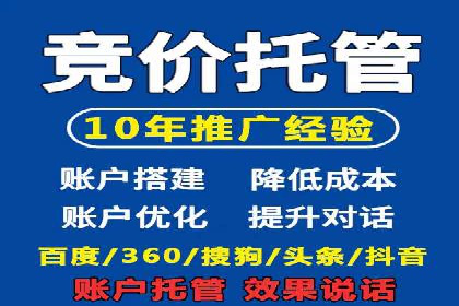 SEM代运营案例分析：精准投放策略解析